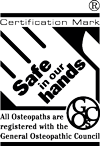 safe in our hands logo